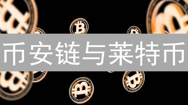币安链与莱特币：技术架构、应用场景与生态系统差异分析