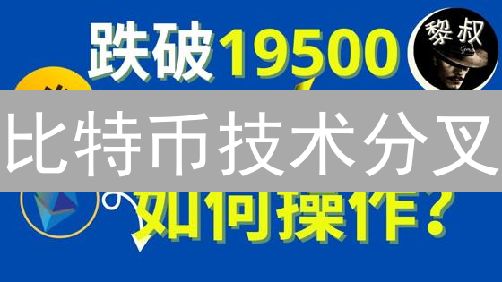 比特币技术分叉：市场影响与加密货币演化博弈
