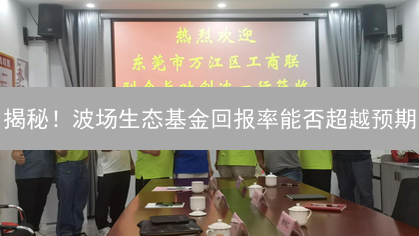 揭秘！波场生态基金回报率能否超越预期？