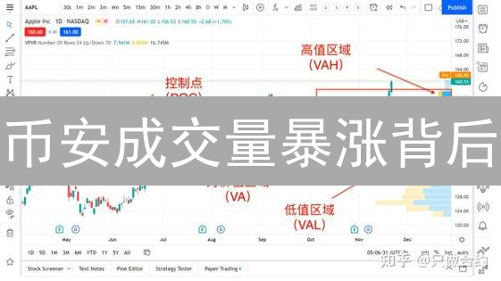 币安成交量暴涨背后：三大趋势与风险评估【深度解析】