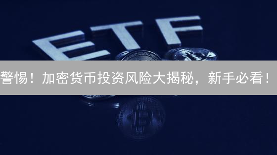 警惕！加密货币投资风险大揭秘，新手必看！