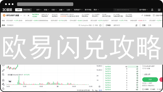 欧易闪兑攻略：高效跨币种转换，新手也能轻松上手！