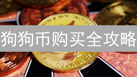 狗狗币购买全攻略：哪种支付方式更划算？【新手必看】