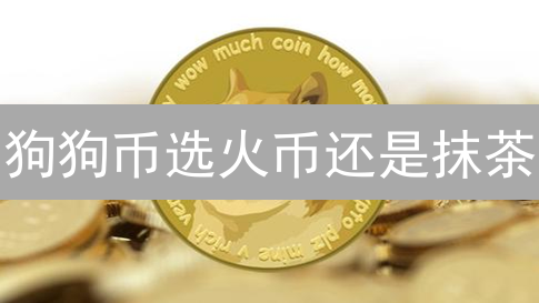 狗狗币选火币还是抹茶？深度解析+省钱攻略，教你选对交易所！