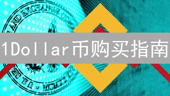 1Dollar币购买指南：全面解析与风险提示！现在入手是否明智？