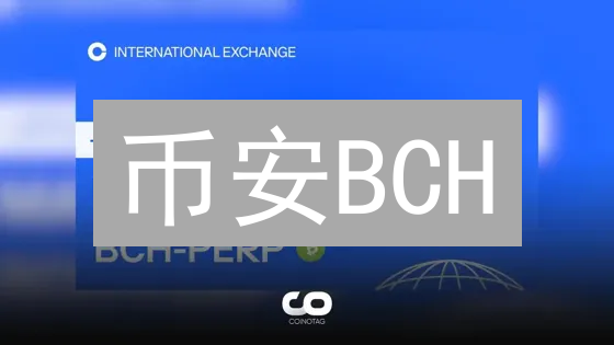 币安BCH/USDT交易全攻略：稳健投资，规避风险！新手必看