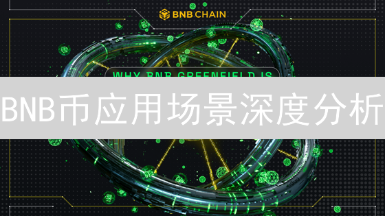 BNB币应用场景深度分析：从交易所到生态拓展