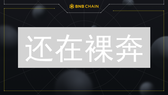 还在裸奔？BNB硬件钱包安全指南，让你的币安币固若金汤！