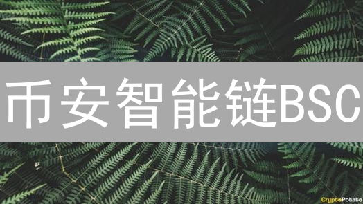 币安智能链BSC：如何成为DeFi领域的领头羊？三大优势揭秘！
