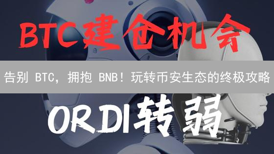 告别 BTC，拥抱 BNB！玩转币安生态的终极攻略