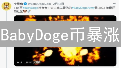BabyDoge币暴涨？揭秘真相与未来风险！