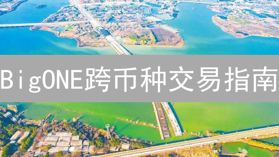 BigONE跨币种交易指南：便捷高效的数字资产配置