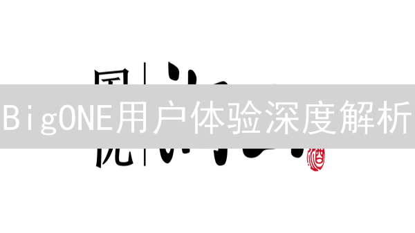BigONE用户体验深度解析：新手也能轻松上手的秘诀！
