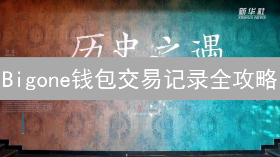 Bigone钱包交易记录全攻略：5分钟掌握查询技巧！