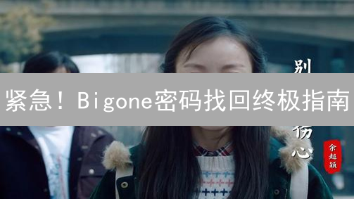 紧急！Bigone密码找回终极指南：保住你的数字资产！