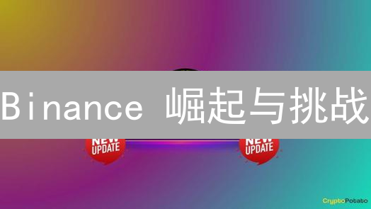 Binance 崛起与挑战：从创业公司到全球加密巨头之路