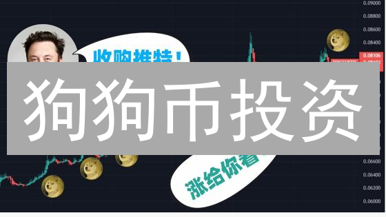 狗狗币投资：Binance & GATE.IO 风险管理实战指南【2024最新】