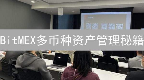 BitMEX多币种资产管理秘籍：100倍杠杆下的风险控制与盈利策略