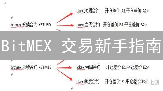 BitMEX 交易新手指南：高杠杆合约风险与盈利策略揭秘！