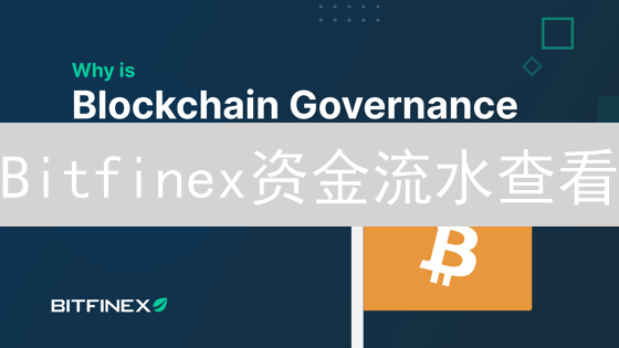 Bitfinex资金流水查看：追踪数字足迹与交易历史分析
