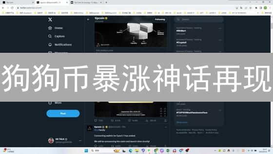 狗狗币暴涨神话再现？Bitget社交交易助你把握机遇！