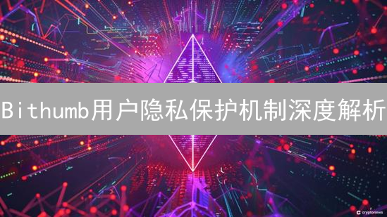 Bithumb用户隐私保护机制深度解析
