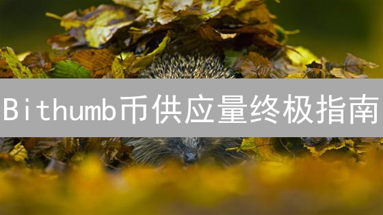 Bithumb币供应量终极指南：揭秘影响币价的关键因素！