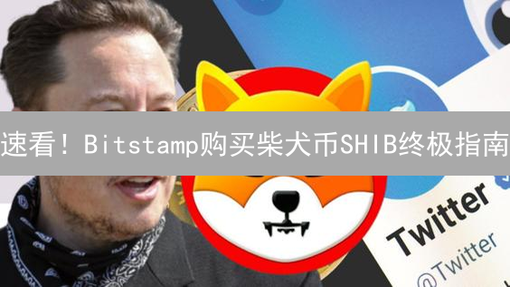 速看！Bitstamp购买柴犬币SHIB终极指南：步骤、费用、风险全解析！