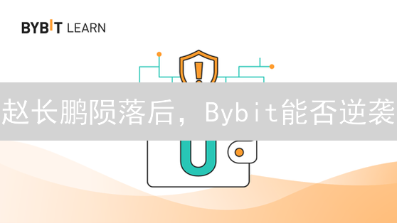 赵长鹏陨落后，Bybit能否逆袭？深度解析币安危机与机遇！