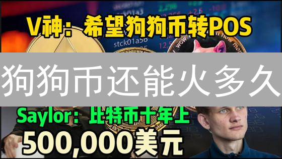 狗狗币还能火多久？币安交易数据揭秘DOGE未来！