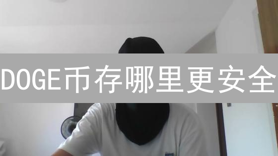 DOGE币存哪里更安全？欧易购买后，五大存储方案深度剖析！