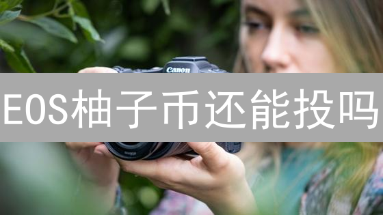 EOS柚子币还能投吗？2024最新价值分析与前景预测！