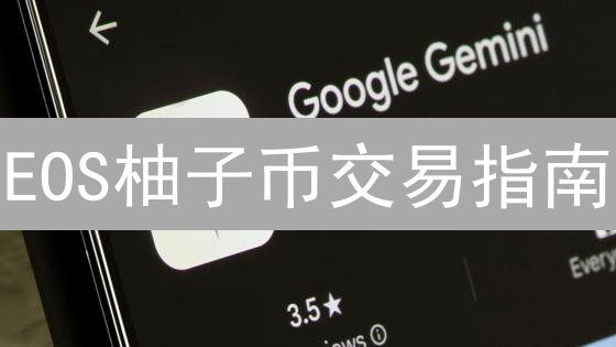 EOS柚子币交易指南：Gemini泰达币入场，新手也能玩转？