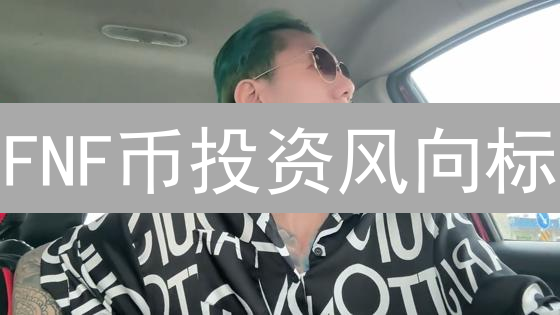 FNF币投资风向标：社区代币还是风险陷阱？
