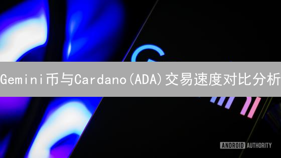 Gemini币与Cardano(ADA)交易速度对比分析