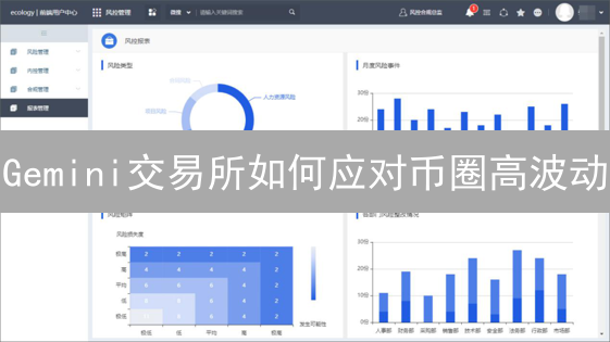 Gemini交易所如何应对币圈高波动？五大策略解析！