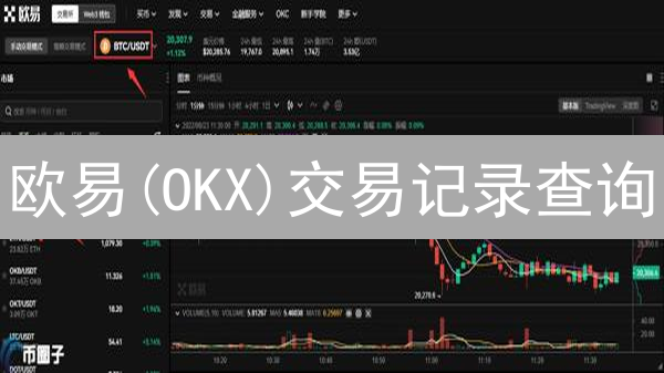 欧易(OKX)交易记录查询：99%的人都不知道的秘密！