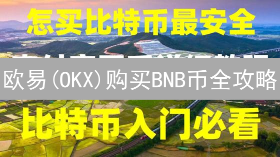 欧易(OKX)购买BNB币全攻略：新手也能轻松学会！安全存储指南