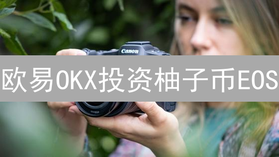 欧易OKX投资柚子币EOS？深度剖析：机遇与风险并存！