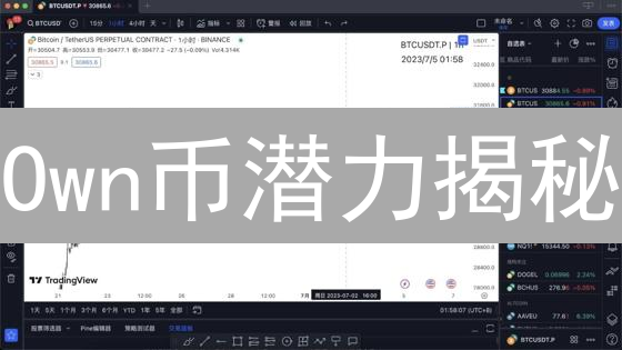 Own币潜力揭秘：技术、应用、监管与竞争深度剖析！
