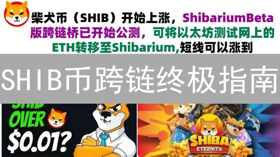 SHIB币跨链终极指南：三大方法助你安全高效转移！【2024更新】