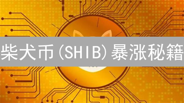柴犬币(SHIB)暴涨秘籍：新手也能轻松掌握的买卖攻略！