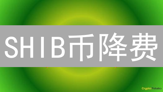 SHIB币降费：是机会还是危机？深度解析！