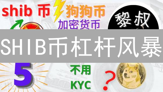 SHIB币杠杆风暴：欧易机会还是风险？（速览）