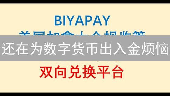 还在为数字货币出入金烦恼？USDT法币交易平台帮你轻松搞定！