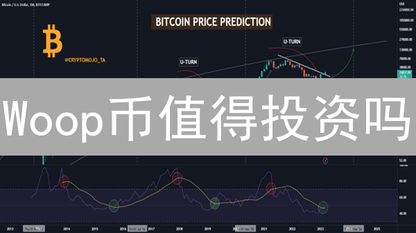 Woop币值得投资吗？2024年全面解读Woop币技术、应用与未来！